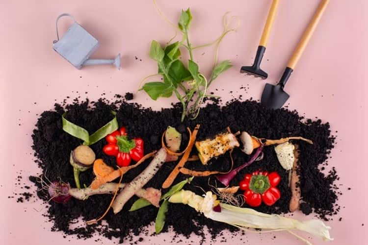 compost with vegetables and tools