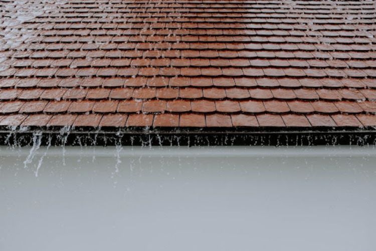 Common Issues That Affect Home Health Safety and Comfort