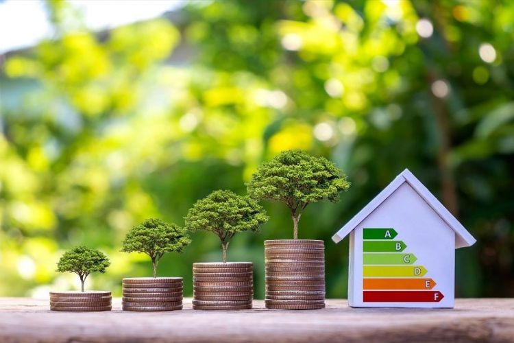 Green Home Projects Simple Steps to a Sustainable Living Space