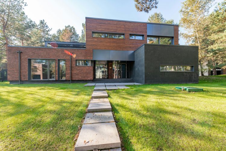 Heres How You Can Elevate Your Outdoor Landscape