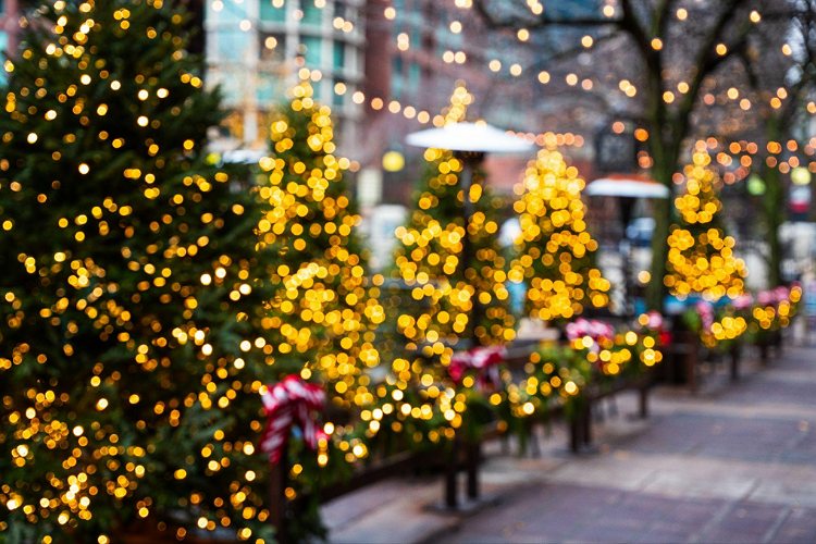 Make Festive Displays Hassle Free Year Round with Permanent Lighting2