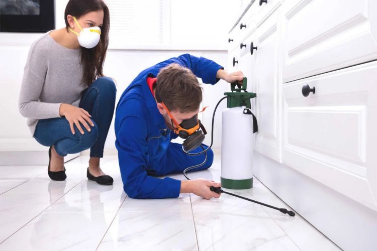 Pest Control Branding How To Stand Out In A Competitive Market