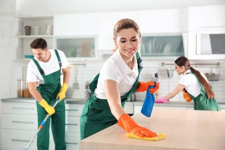 Raising Domestic Care Standards Creative Cleaning Options for St George Residences