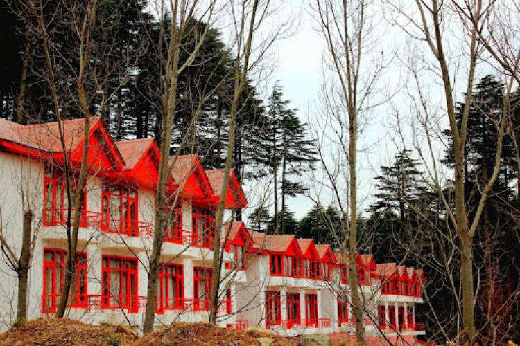 The Best Types of Houses in Australia From Traditional to Trendy 2