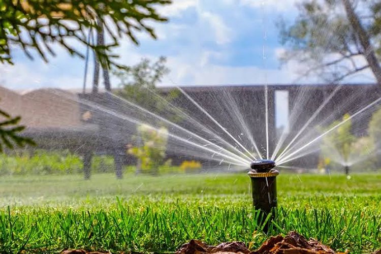 The Impact of Regular Landscape Maintenance on Water Usage and Efficiency