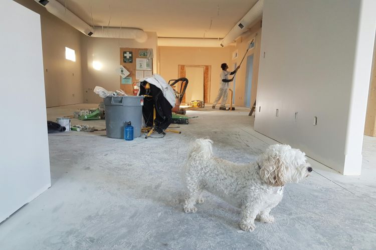 Top Signs Your Home Needs Maintenance and What to Do About It