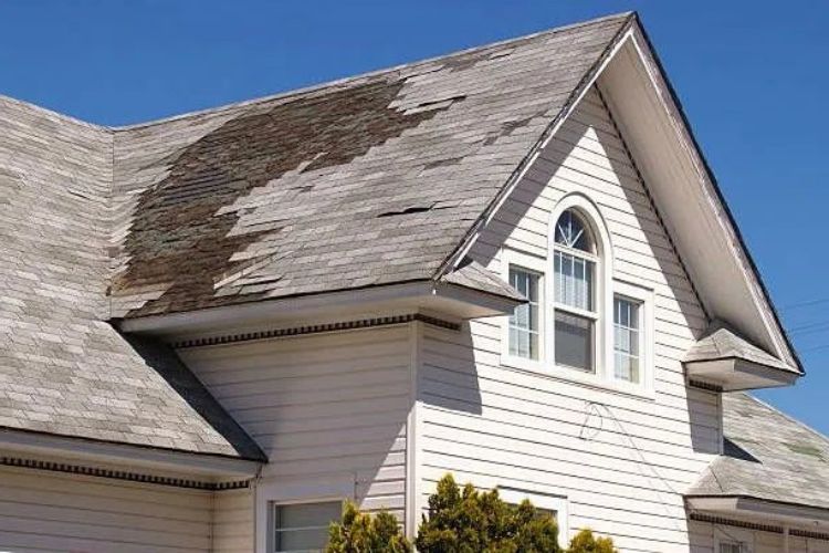 Top Signs Your Roof Needs Immediate Repair And How to Spot Them Early