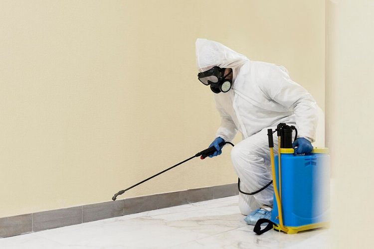 Transforming Your Basement into a Relaxation Retreat2