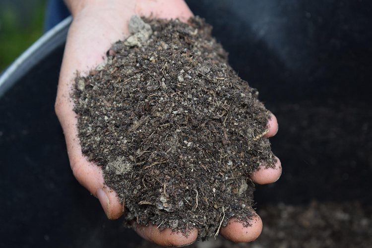 What Is Mulch and Why Does It Matter