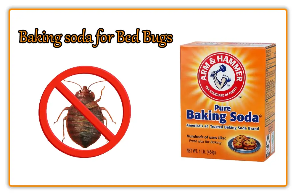 Baking soda for Bed Bugs Baking soda for Bed Bugs