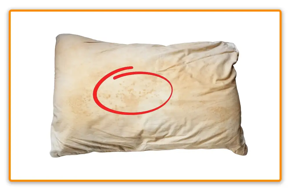 Bed Bug Poop on Pillows Bed Bug Poop on Pillows