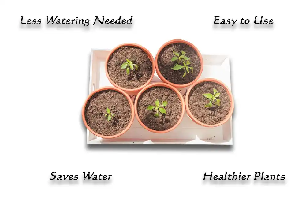 Benefits of Using Self Watering Planters Benefits of Using Self Watering Planters