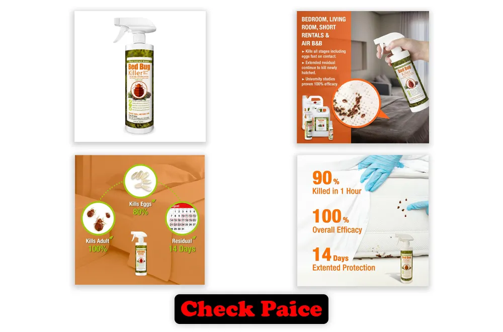 Best Vinegar for Bed Bugs Best Vinegar for Bed Bugs