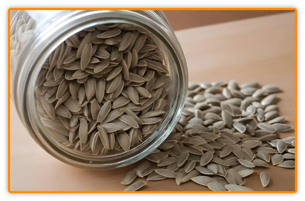 Sunflower Seeds Shelf Life