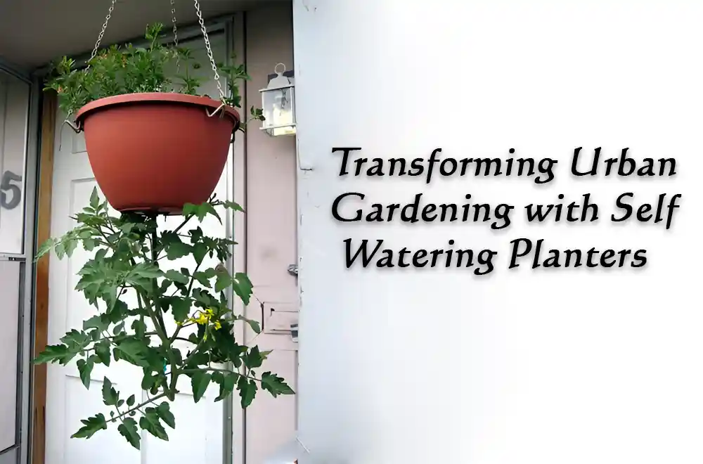 Case Study Transforming Urban Gardening with Self Watering Planters Transforming Urban Gardening with Self Watering Planters