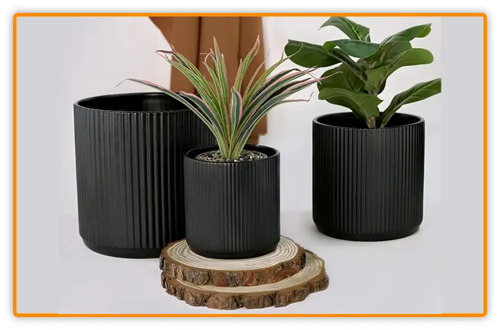 Ceramic Pots for Aloe Vera Plants 1 Ceramic Pots for Aloe Vera Plants