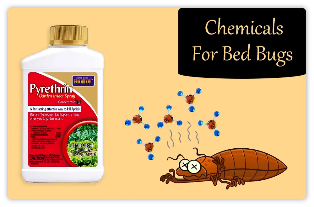 Chemicals for Bed Bugs Chemicals-for-Bed-Bugs