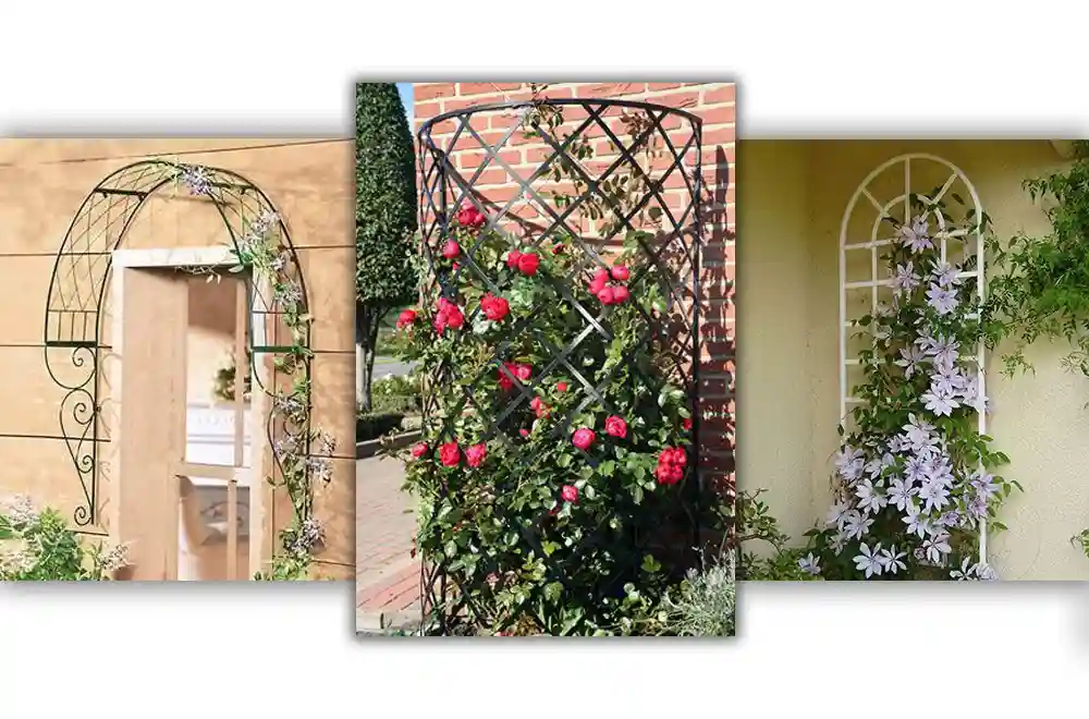 Design Ideas and Inspiration for Metal Trellises Creative Design Ideas and Inspiration for Metal Trellises