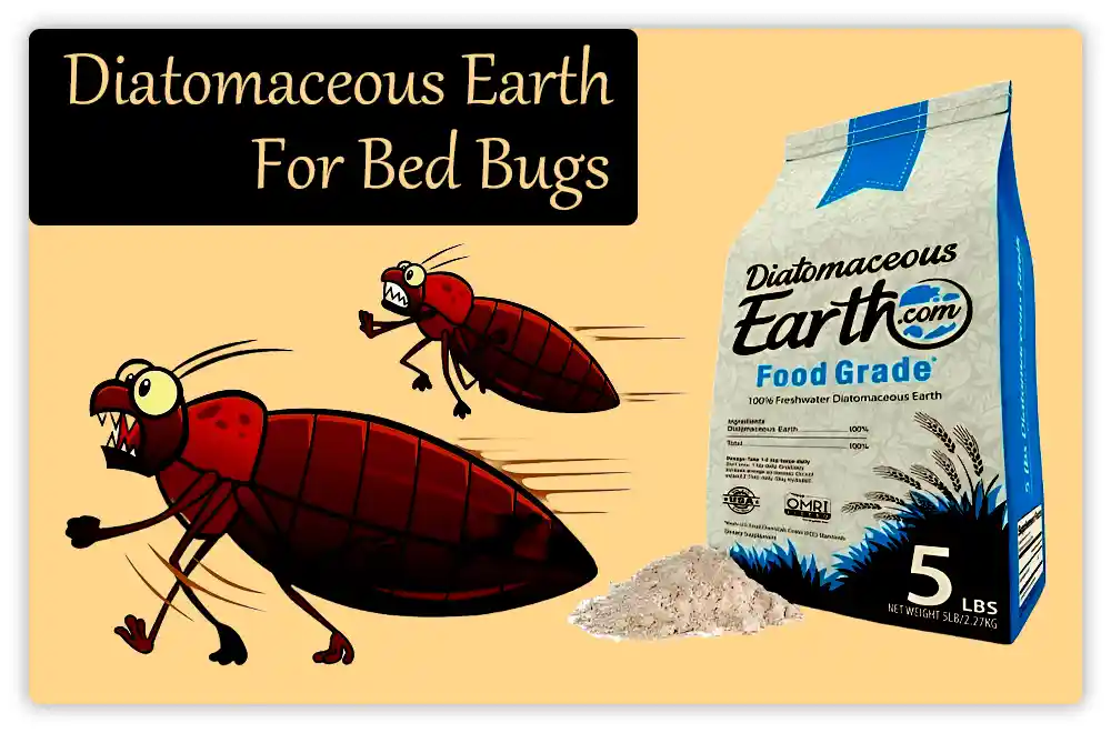 Diatomaceous Earth for Bed Bugs Diatomaceous Earth for Bed Bugs