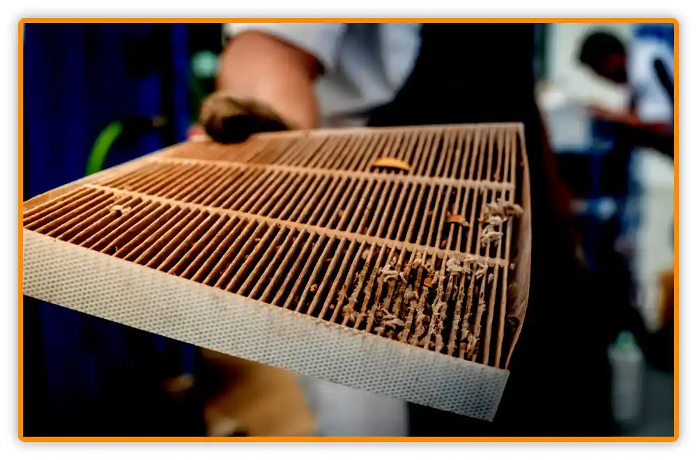 Dirty Air Filter Dirty Air Filter of AC