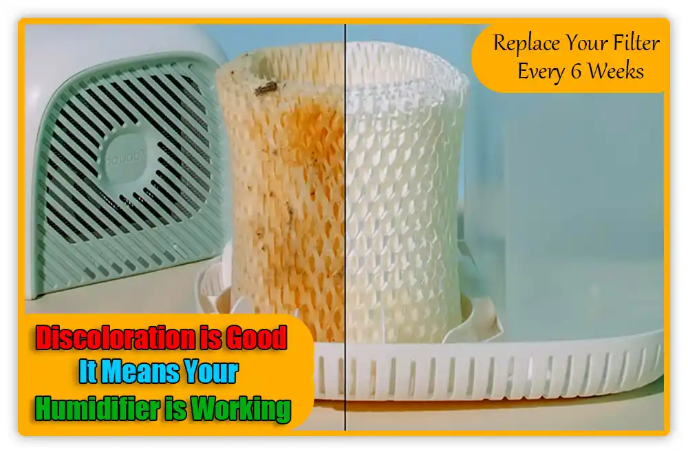 Eco Friendly Filter of Canopy Humidifier Eco-Friendly Filter of Canopy Humidifier