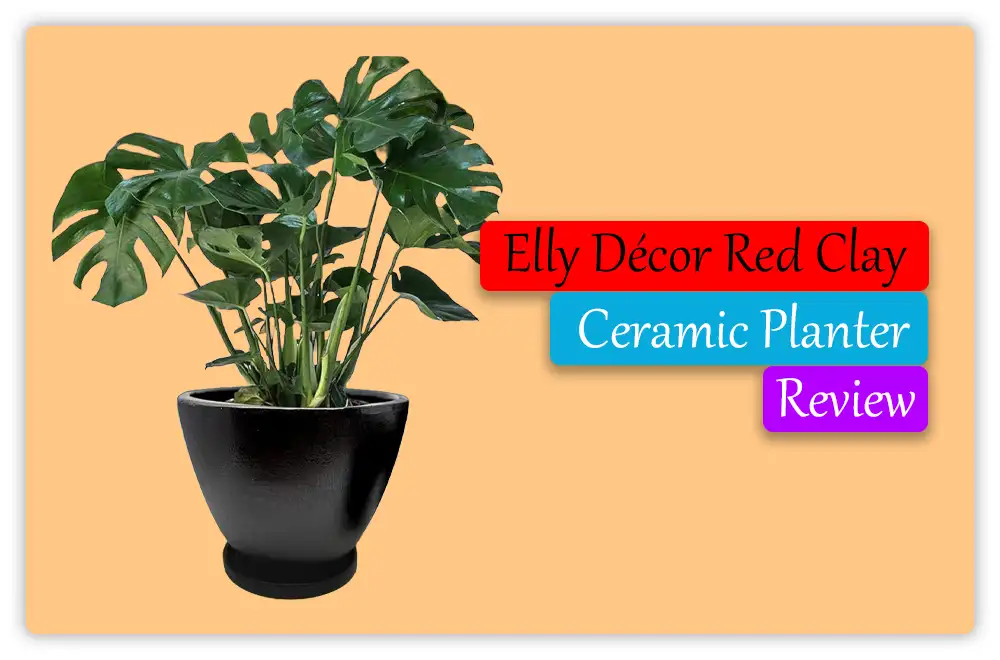 Elly Decor Red Clay Ceramic Planter 1 Elly Décor Red Clay Ceramic Planter