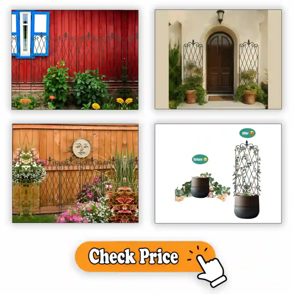 Garden Trellis for Climbing Plants
