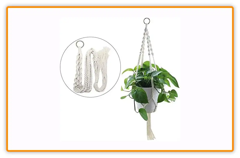 Hanging Planters for Aloe Vera Plants Hanging Planters for Aloe Vera Plants