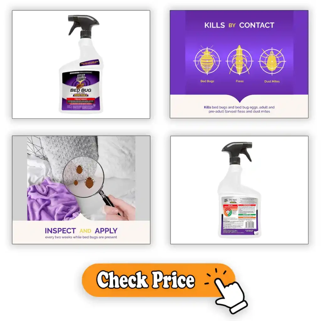 Hot Shot Ready-to-Use Bed Bug Killer Spray