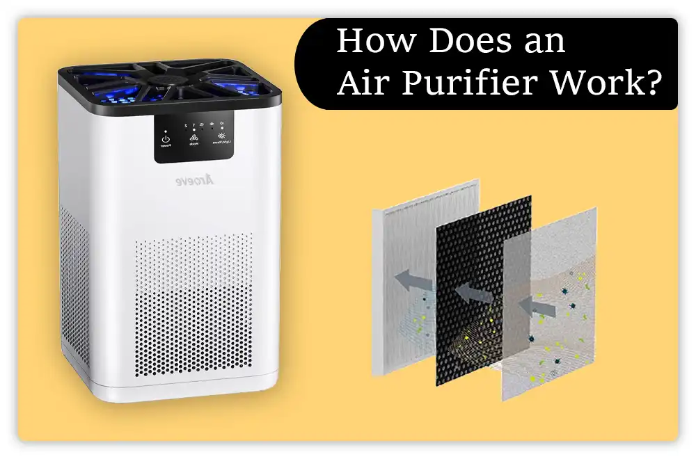How Does an Air Purifier Work How Does an Air Purifier Work
