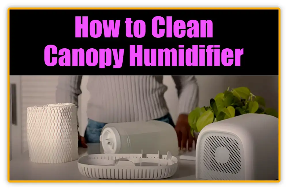 How to Clean Canopy Humidifier How to Clean Canopy Humidifier