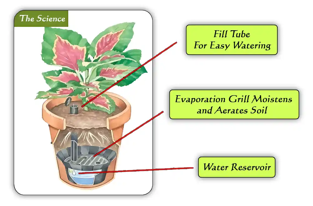 How to make Self watering planters How to Make Self Watering Planters