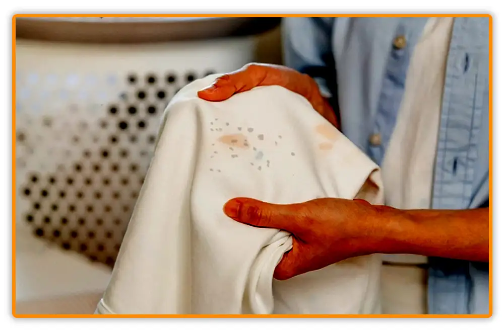How to Remove Bed Bug Poop How to Remove Bed Bug Poop