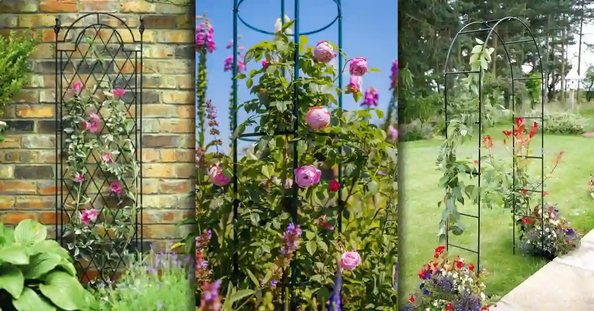 Metal Trellises