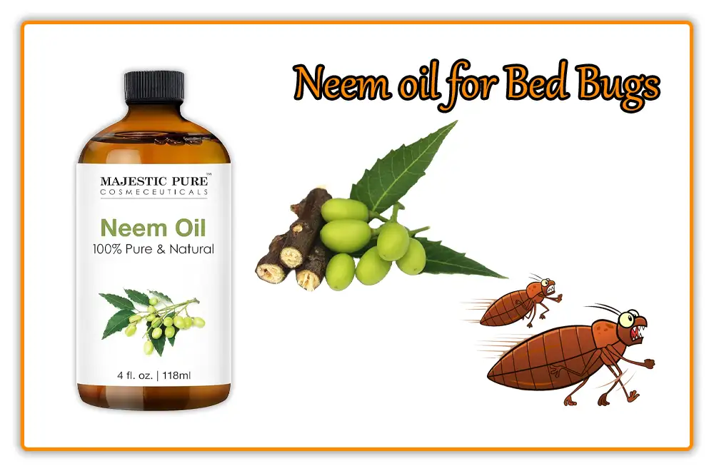 Neem oil for Bed Bugs Neem oil for Bed Bugs