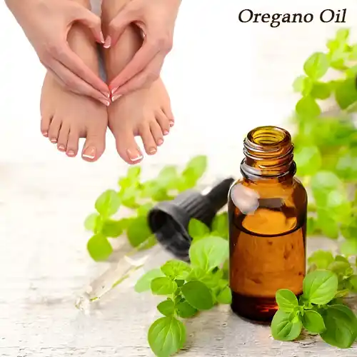 Oregano Oil For Toenail Fungus
