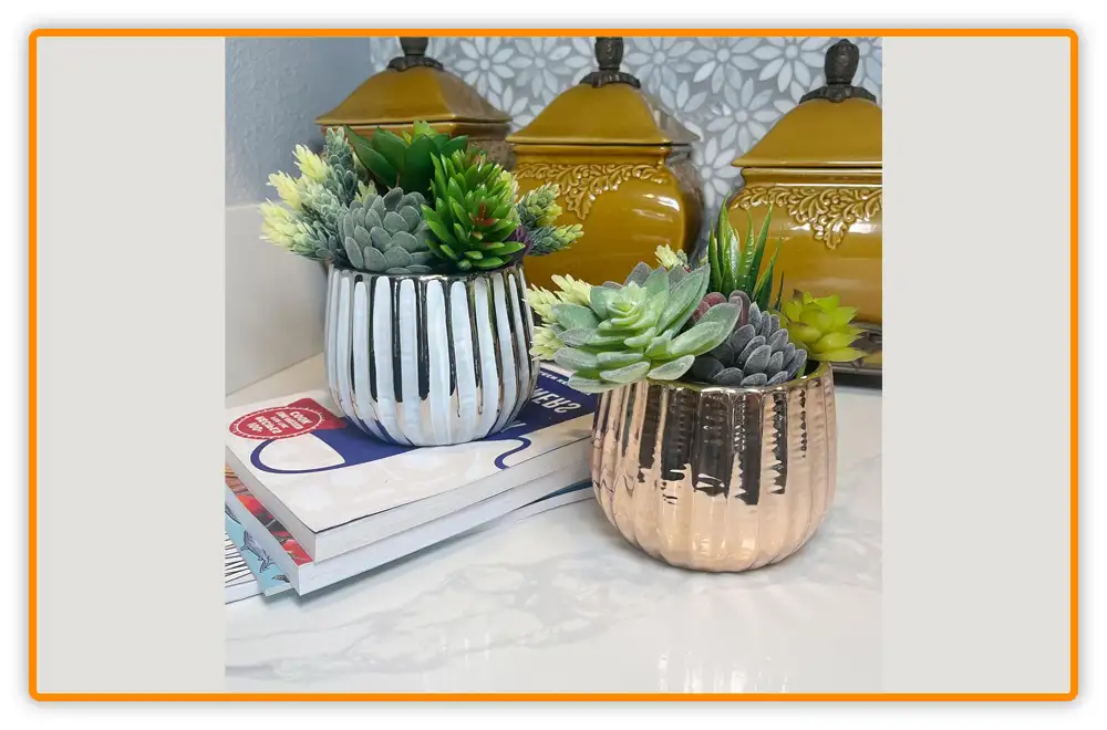 rhsrghsrg ezgif.com optiwebp Decorative Pots for aloe plant