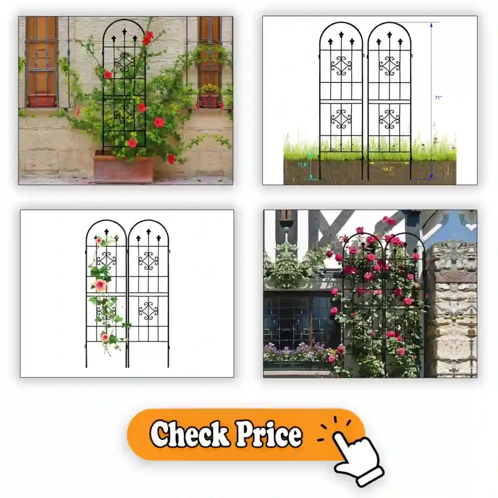 Rustic Arch Garden Trellis