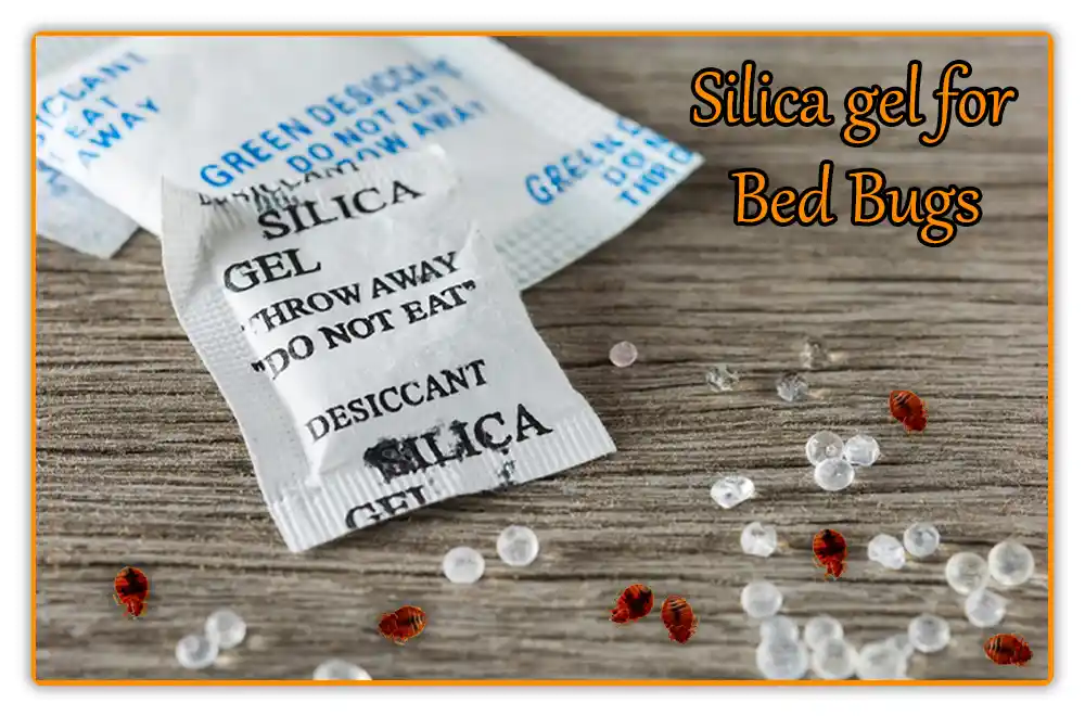 Silica gel for Bed Bugs Silica gel for Bed Bugs