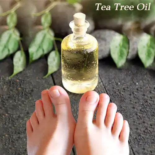 Tea Tree Oil For Toenail Fungus