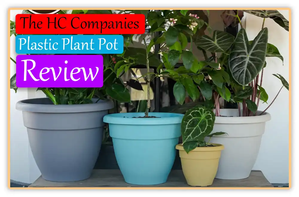 The HC Companies Plastic Plant Pot 1 The HC Companies Plastic Plant Pot