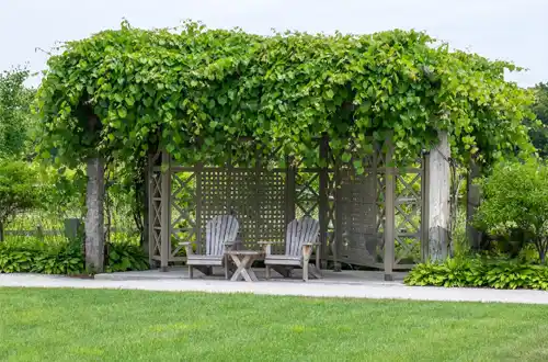 Understanding Louvered Pergola What is a Louvered Pergola?