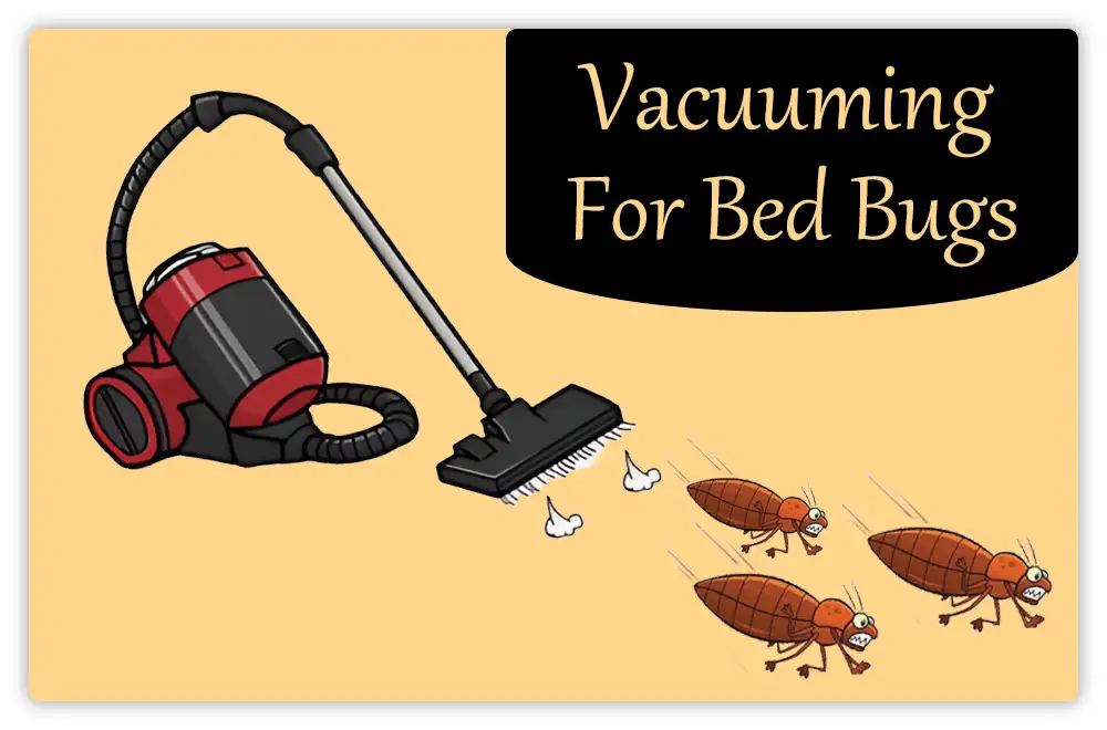 Vacuuming for Bed Bugs Vacuuming for Bed Bugs