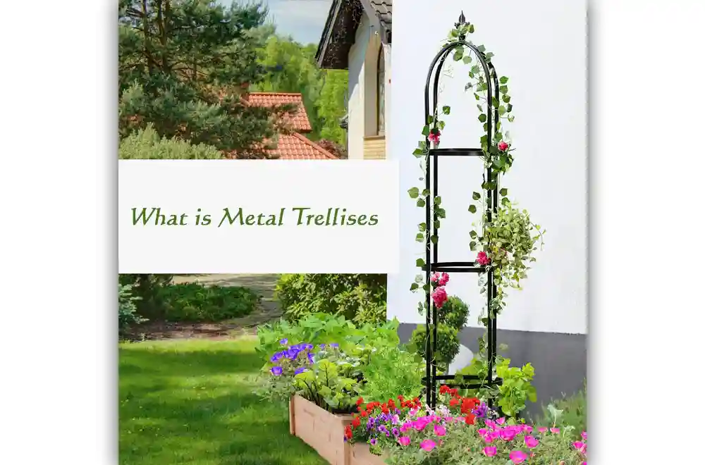 What is Metal Trellises What is Metal Trellises