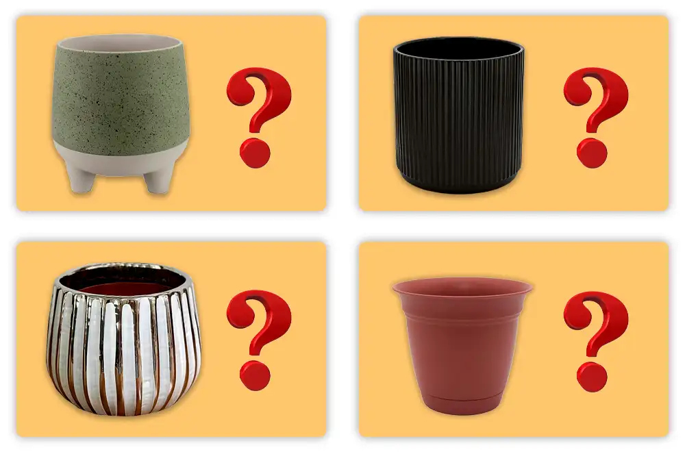 What is the Best Pot for Aloe Plant What is the Best Pot for Aloe Plant