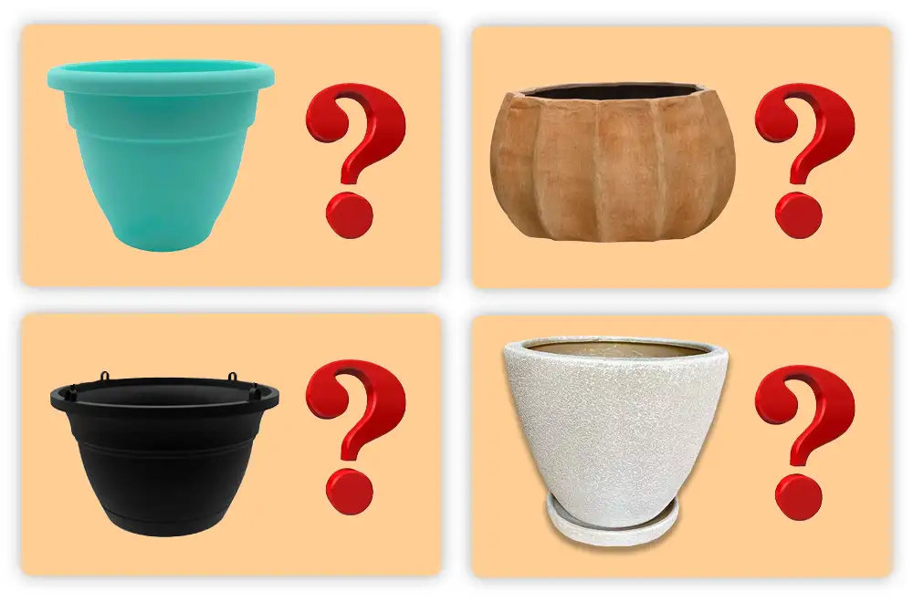 What is the best pot for Monstera What is the best pot for Monstera