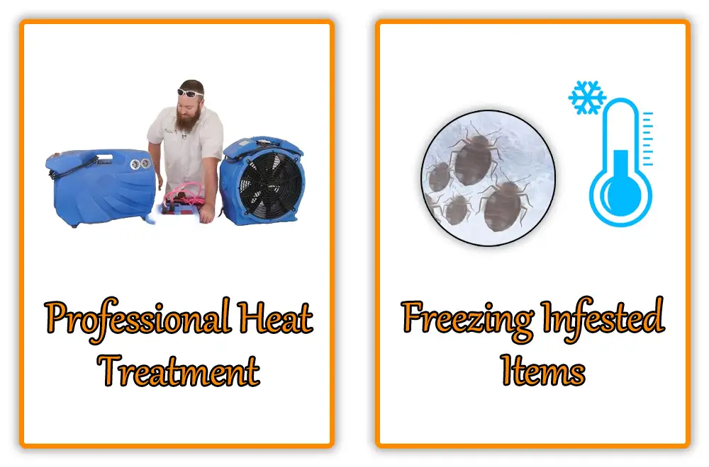 What Kills Bed Bugs Instantly Professional and Immediate Solutions What Kills Bed Bugs Instantly Professional and Immediate Solutions