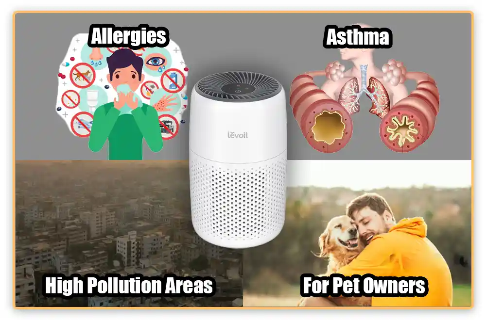When Are Air Purifiers Most Beneficial Benefits of Air Purifiers