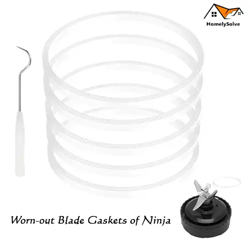 Worn out Blade Gaskets of Ninja Worn-out Blade Gaskets as a Cause of Ninja Blender Smoking